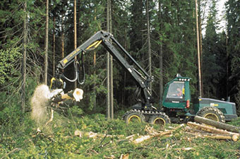 logger removing timber from forest